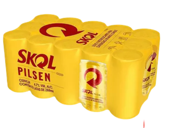 Caixa Skol 269ml
